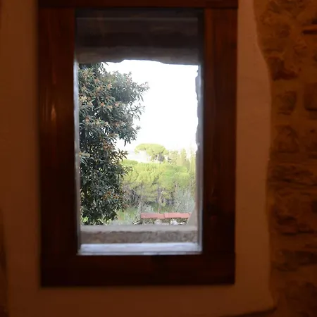 Il Nespolo Apartment